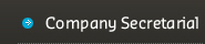 Company Secretarial