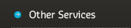 Other Services